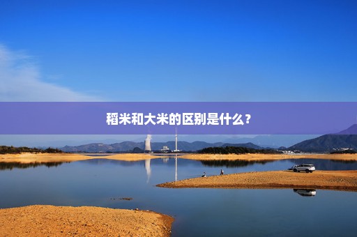 稻米和大米的区别是什么？