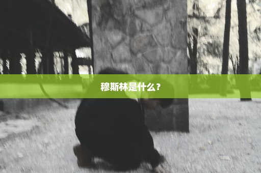 穆斯林是什么？