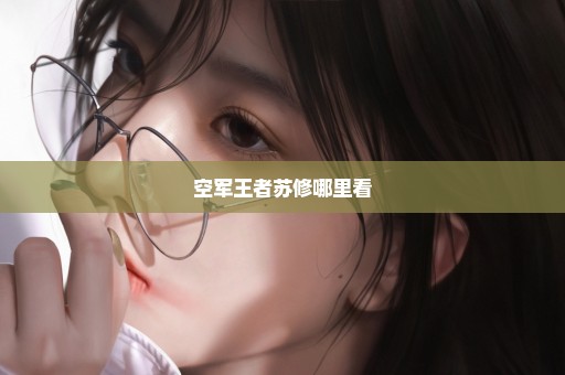 空军王者苏修哪里看