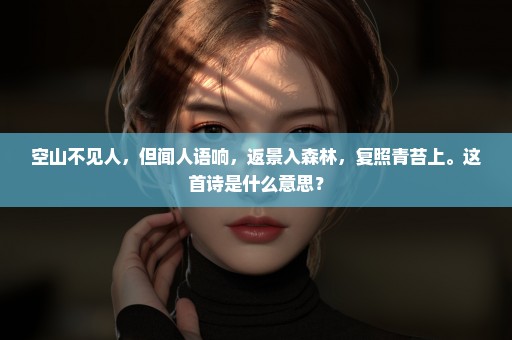 空山不见人，但闻人语响，返景入森林，复照青苔上。这首诗是什么意思？