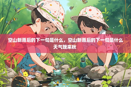 空山新雨后的下一句是什么，空山新雨后的下一句是什么天气晚来秋 