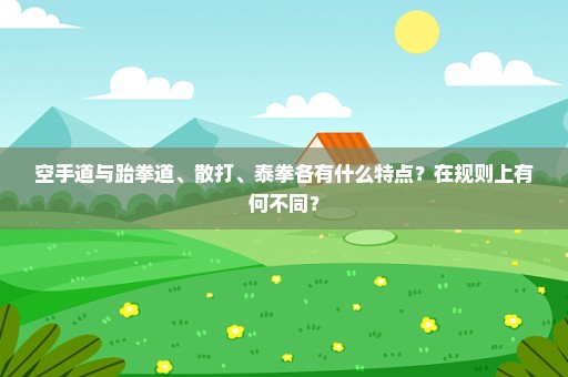 空手道与跆拳道、散打、泰拳各有什么特点？在规则上有何不同？