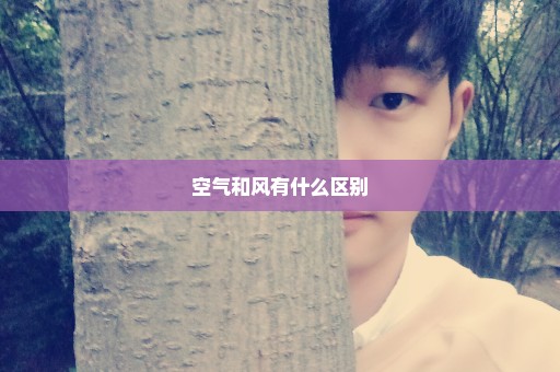 空气和风有什么区别