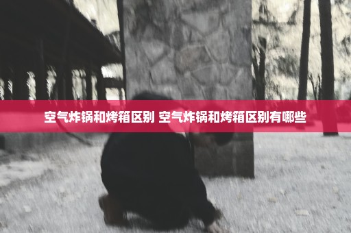 空气炸锅和烤箱区别 空气炸锅和烤箱区别有哪些