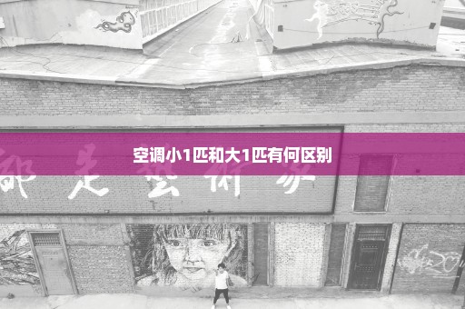 空调小1匹和大1匹有何区别