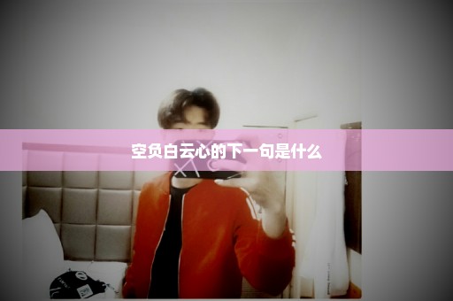 空负白云心的下一句是什么
