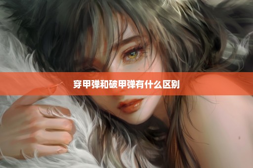 穿甲弹和破甲弹有什么区别