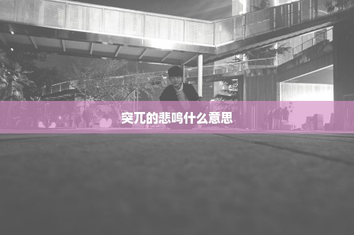 突兀的悲鸣什么意思