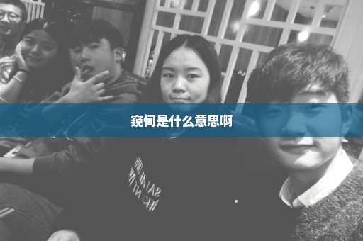 窥伺是什么意思啊