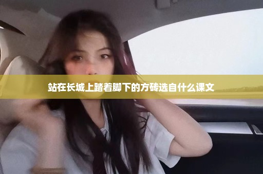 站在长城上踏着脚下的方砖选自什么课文
