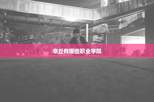 章丘有哪些职业学院