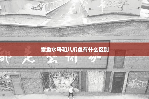 章鱼水母和八爪鱼有什么区别