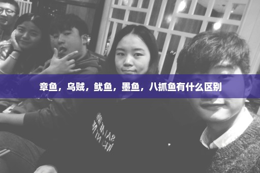 章鱼，乌贼，鱿鱼，墨鱼，八抓鱼有什么区别