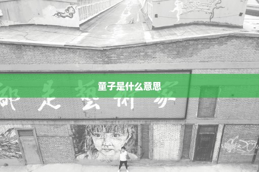 童子是什么意思
