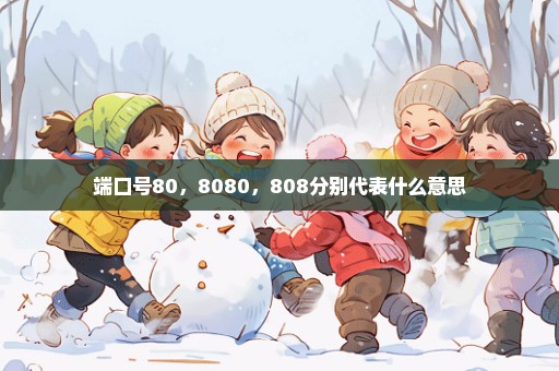 端口号80，8080，808分别代表什么意思