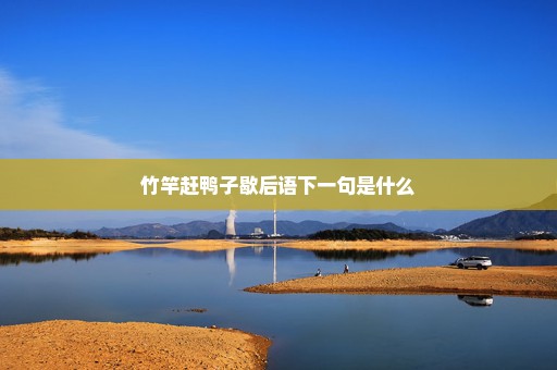 竹竿赶鸭子歇后语下一句是什么