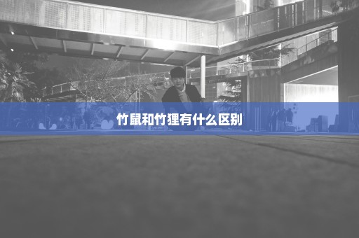 竹鼠和竹狸有什么区别