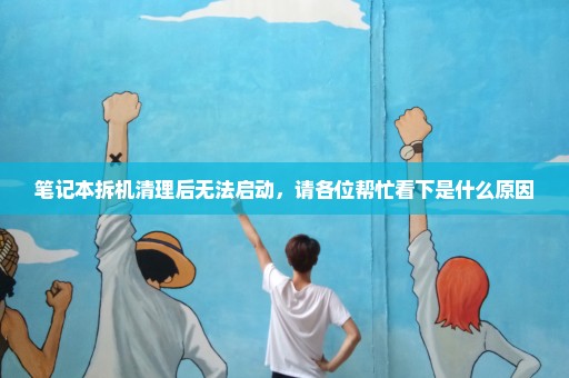 笔记本拆机清理后无法启动，请各位帮忙看下是什么原因