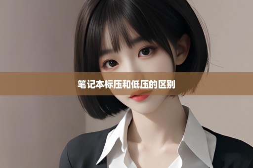 笔记本标压和低压的区别