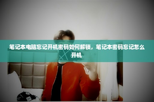 笔记本电脑忘记开机密码如何解锁，笔记本密码忘记怎么开机 