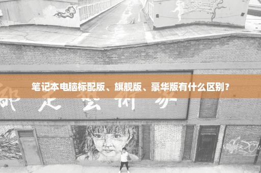 笔记本电脑标配版、旗舰版、豪华版有什么区别？