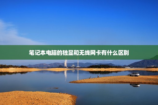 笔记本电脑的独显和无线网卡有什么区别