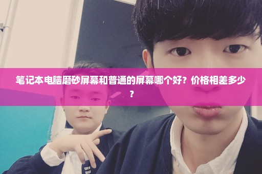 笔记本电脑磨砂屏幕和普通的屏幕哪个好？价格相差多少？