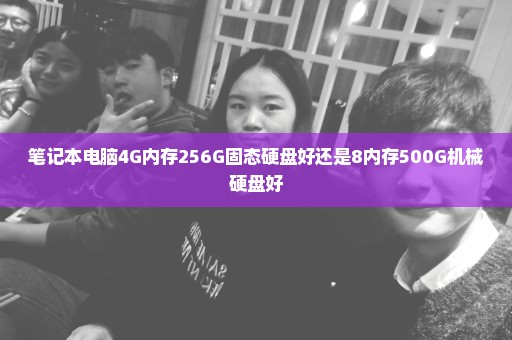 笔记本电脑4G内存256G固态硬盘好还是8内存500G机械硬盘好