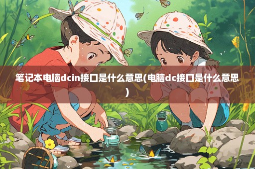 笔记本电脑dcin接口是什么意思(电脑dc接口是什么意思)
