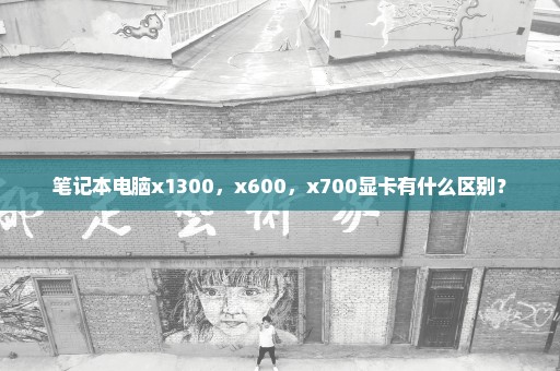 笔记本电脑x1300，x600，x700显卡有什么区别？