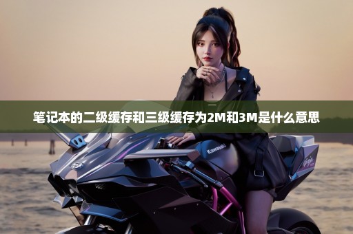 笔记本的二级缓存和三级缓存为2M和3M是什么意思