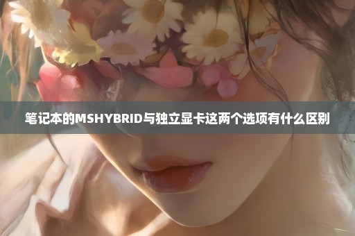 笔记本的MSHYBRID与独立显卡这两个选项有什么区别