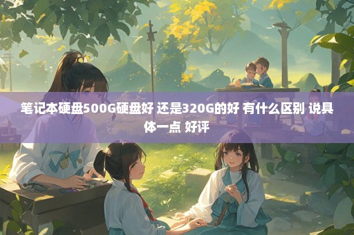 笔记本硬盘500G硬盘好 还是320G的好 有什么区别 说具体一点 好评
