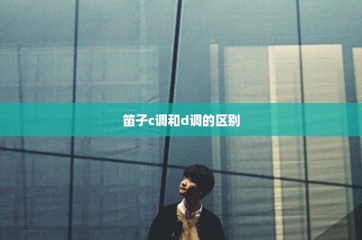 笛子c调和d调的区别