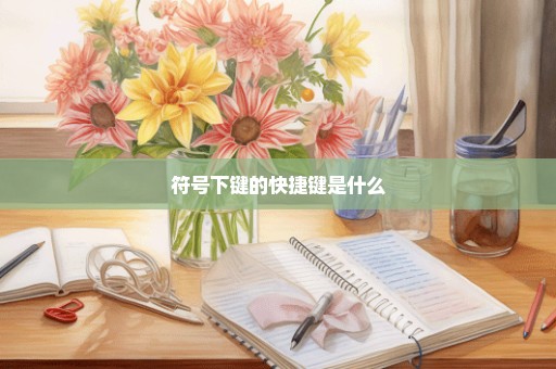 符号下键的快捷键是什么