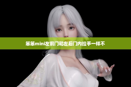 笨笨mini左前门和左后门内拉手一样不