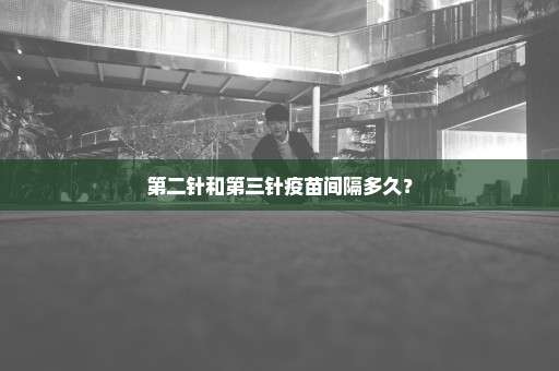 第二针和第三针疫苗间隔多久？
