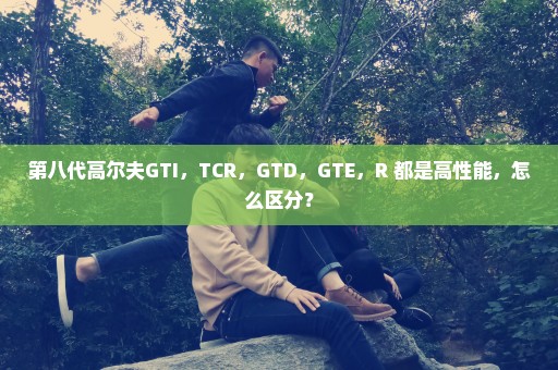 第八代高尔夫GTI，TCR，GTD，GTE，R 都是高性能，怎么区分？