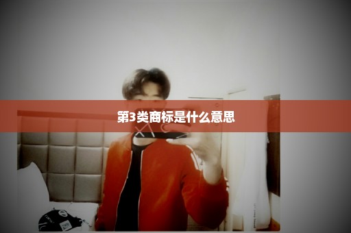 第3类商标是什么意思