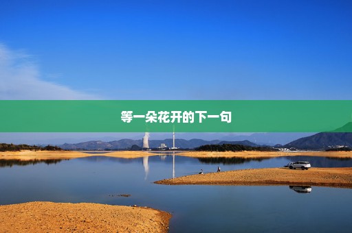 等一朵花开的下一句
