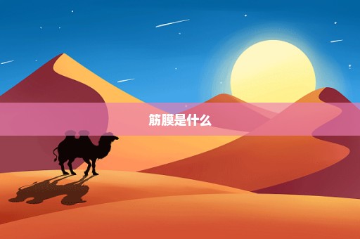 筋膜是什么