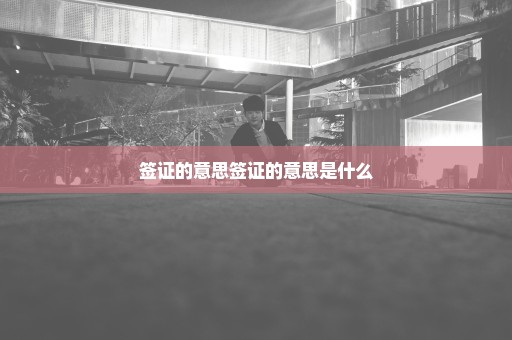 签证的意思签证的意思是什么
