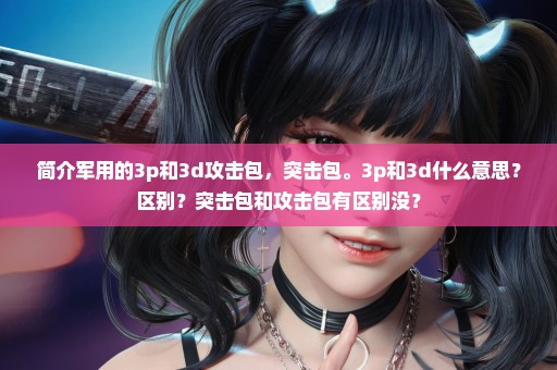简介军用的3p和3d攻击包，突击包。3p和3d什么意思？区别？突击包和攻击包有区别没？
