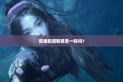 简单和简明意思一样吗？