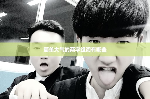 简单大气的两字组词有哪些