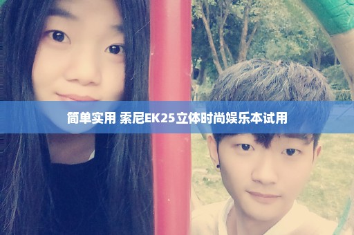 简单实用 索尼EK25立体时尚娱乐本试用