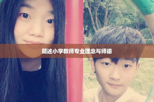 简述小学教师专业理念与师德