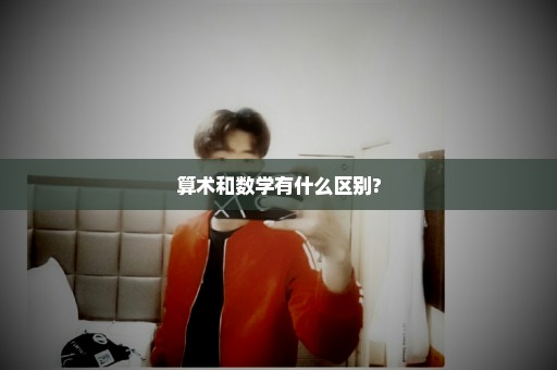 算术和数学有什么区别?