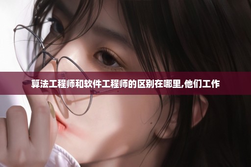 算法工程师和软件工程师的区别在哪里,他们工作