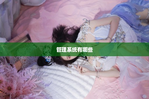 管理系统有哪些